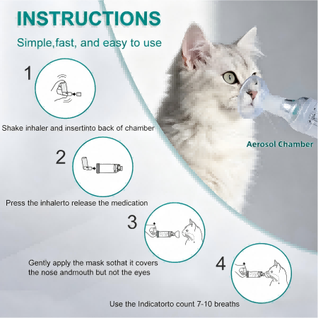aerosol chamber